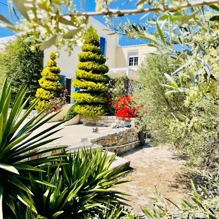 Beautiful Holiday In Chroussa With Sea View